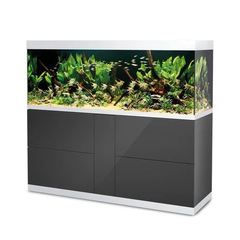 Acvarii personalizate