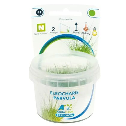 EASY GROW ELEOCHARIS PARVULA NR 41 - N