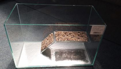 ACVARIU BROSCUTE 20L