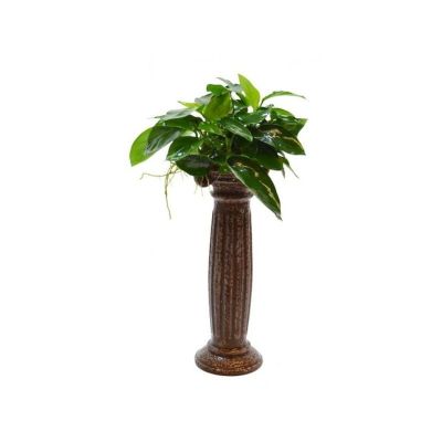 DECO COLOMN ANUBIAS 15X5X5CM