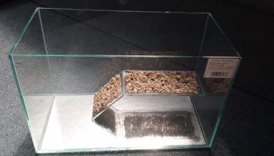 ACVARIU BROSCUTE 20L